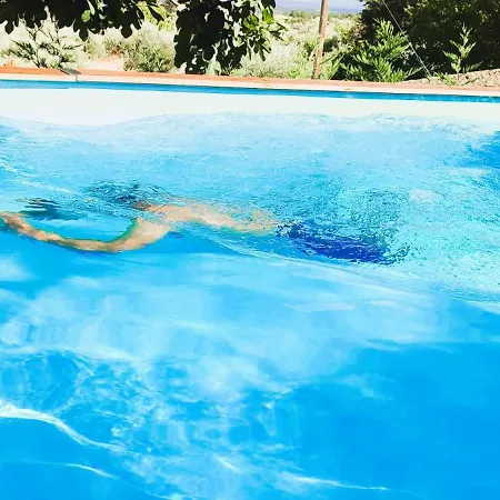 Semesterbostad Lagarto Pintado Casa N'aldeia