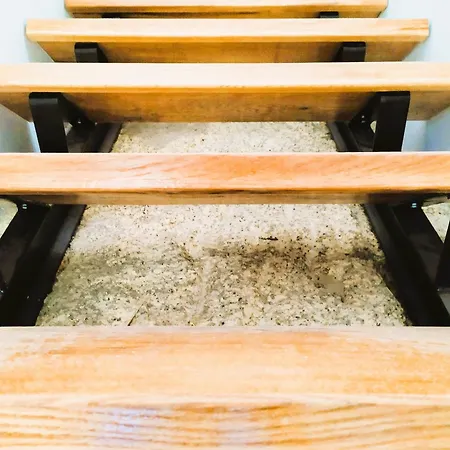 Hébergement de vacances Lagarto Pintado Casa N'aldeia