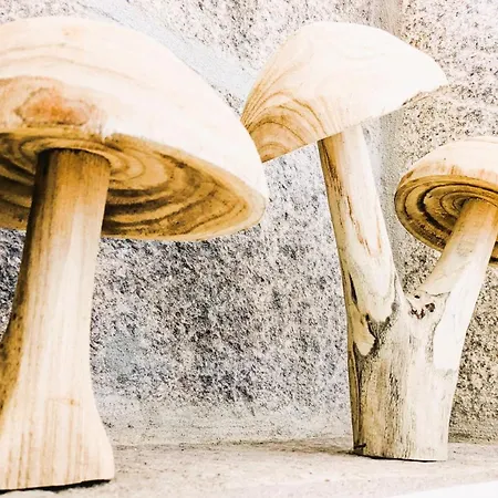 Lagarto Pintado Casa N'aldeia קאסטלו נובו