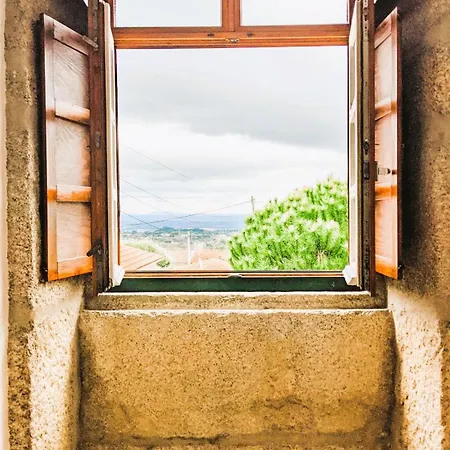 Semesterbostad Lagarto Pintado Casa N'aldeia Castelo Novo