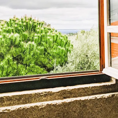 Lagarto Pintado Casa N'aldeia Hébergement de vacances Castelo Novo