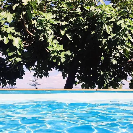 Lagarto Pintado Casa N'aldeia