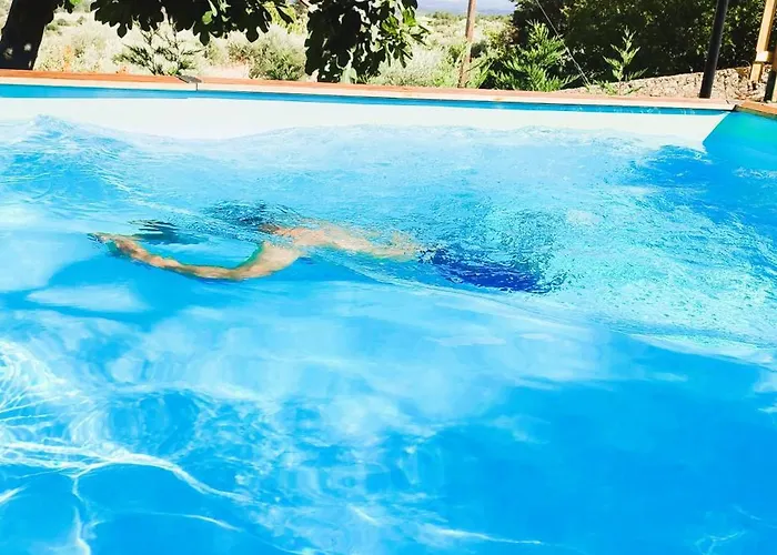 Hébergement de vacances Lagarto Pintado Casa N'aldeia