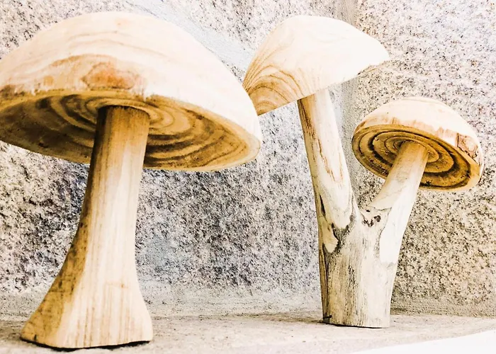 Lagarto Pintado Casa N'aldeia Castelo Novo