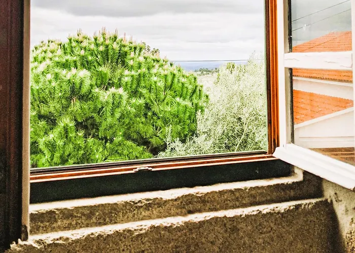 Lagarto Pintado Casa N'aldeia Hébergement de vacances Castelo Novo