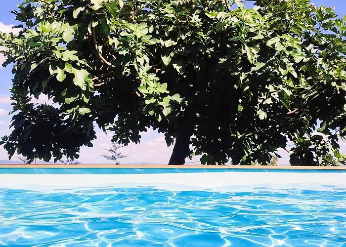 Lagarto Pintado Casa N'aldeia